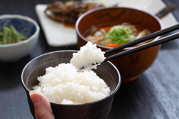 ランチ